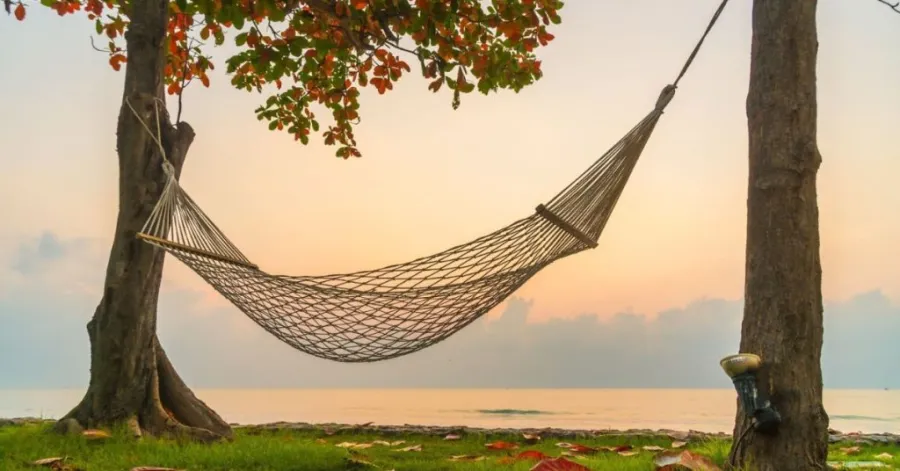 how to mount a hammock to a tree