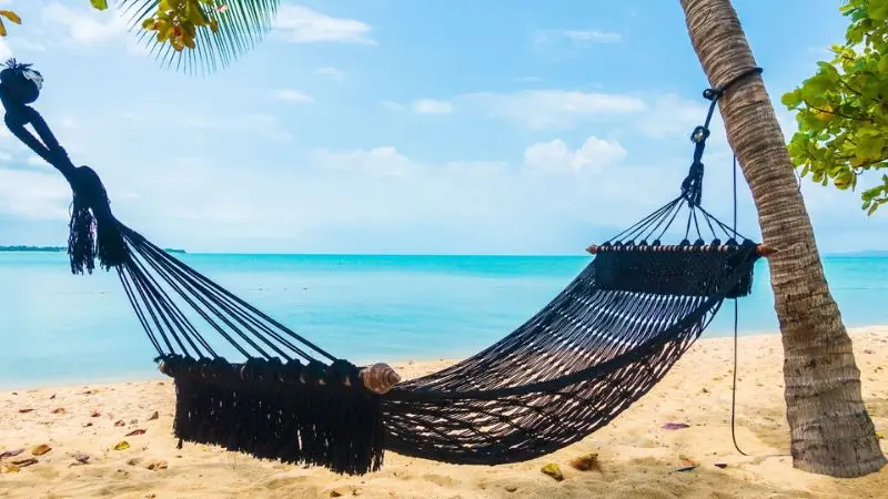 How to mount a hammock to the tree right away