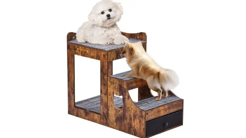 Training Aid Dog Furniture