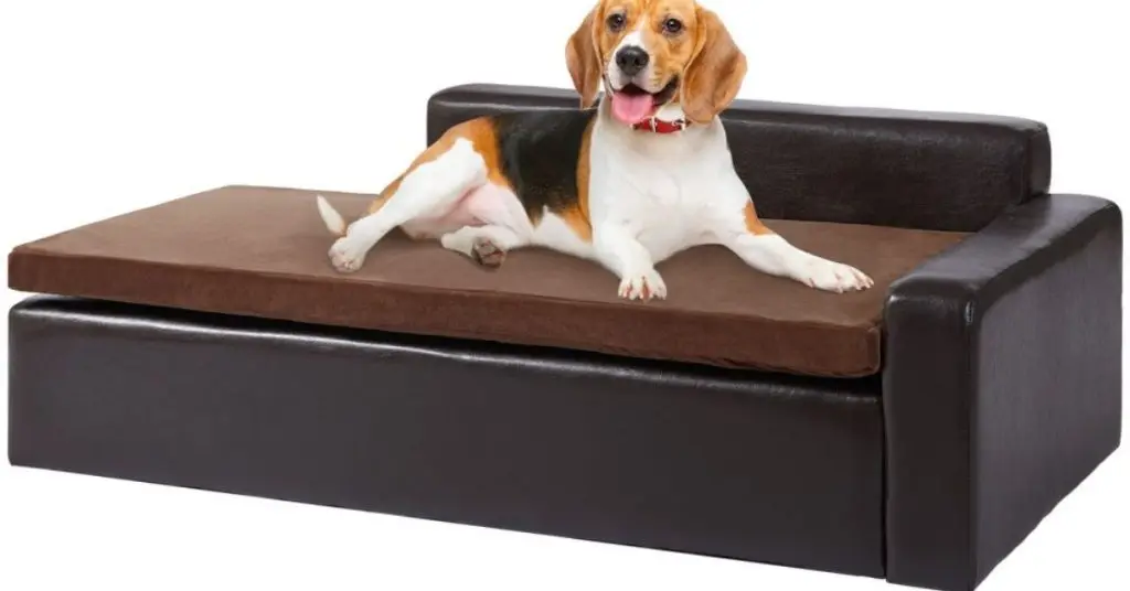 how to keep pets off furniture