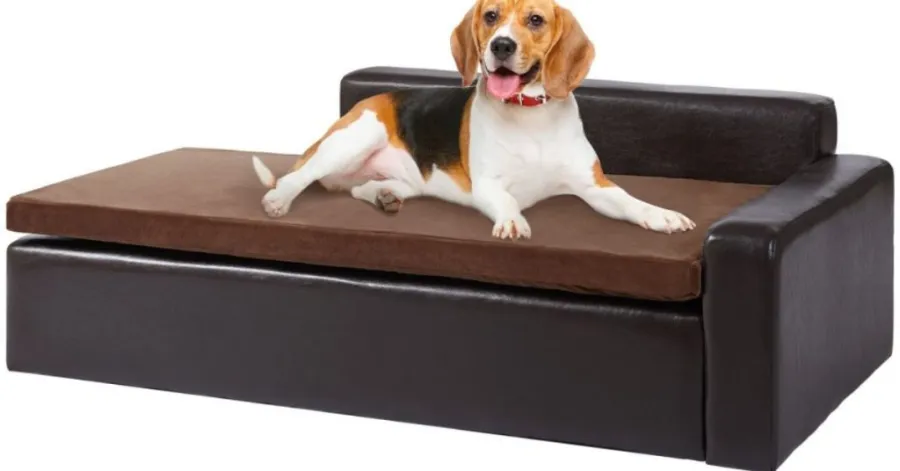 how to keep pets off furniture