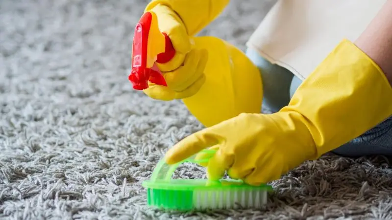 How to clean stains from the carpet