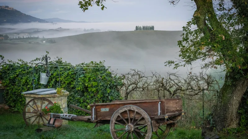 wagon garden cart care tips
