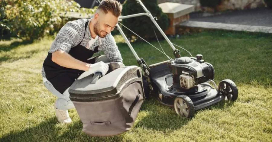 lawn sweeper for pine needles