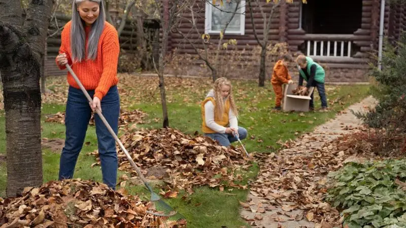 lawn prep for winter