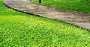 how to keep grass out of the garden