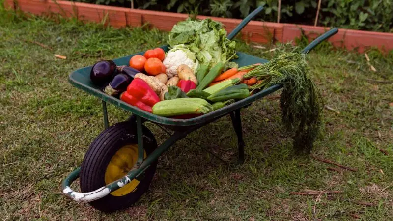 types of garden carts