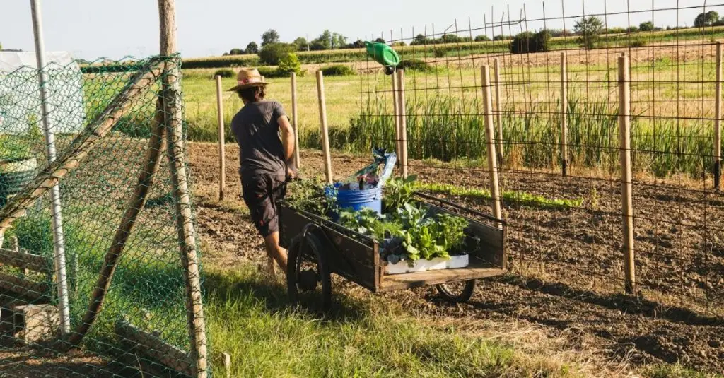 wagon garden cart