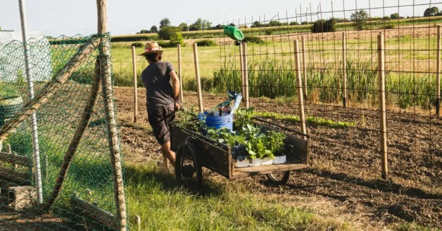 wagon garden cart