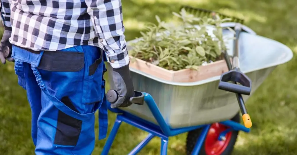 two-wheel garden cart