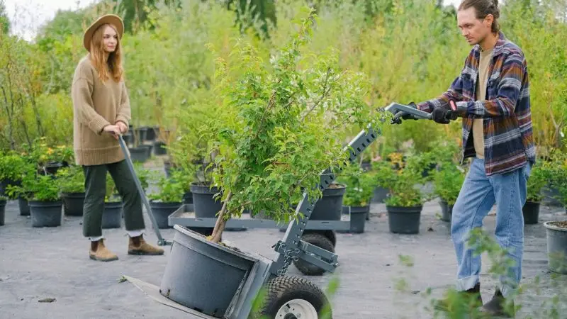 How to take care of the wheel  and tire of the garden cart