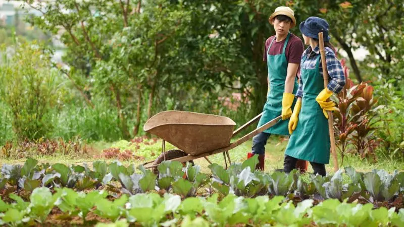 garden cart maintenance routine