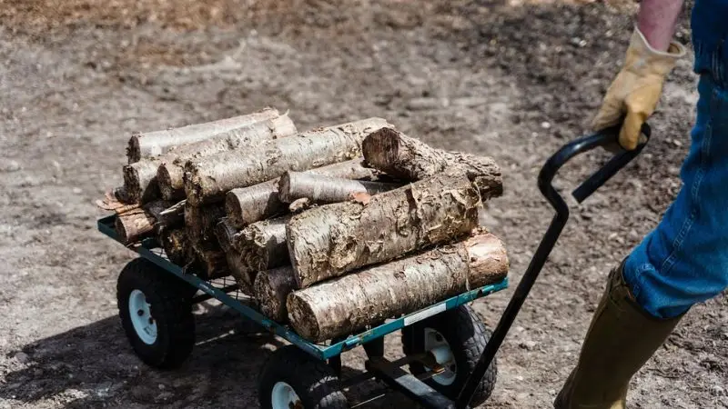 How to assess your needs for choosing a rolling garden cart