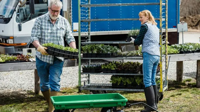 How to choose the right garden cart