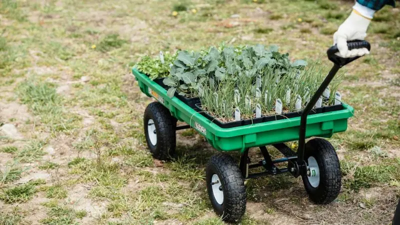 How to choose the right dump cart