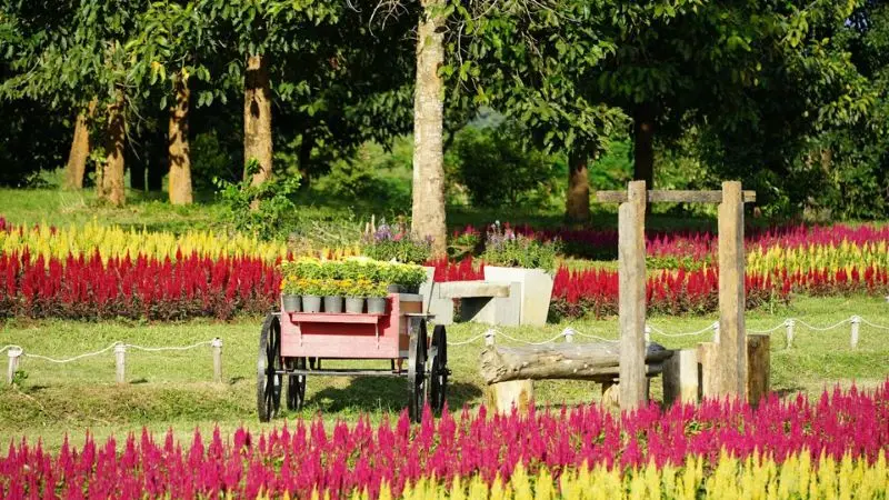 How to choose the right dump cart for your yard