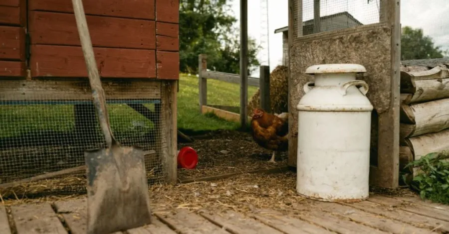diy chicken coop
