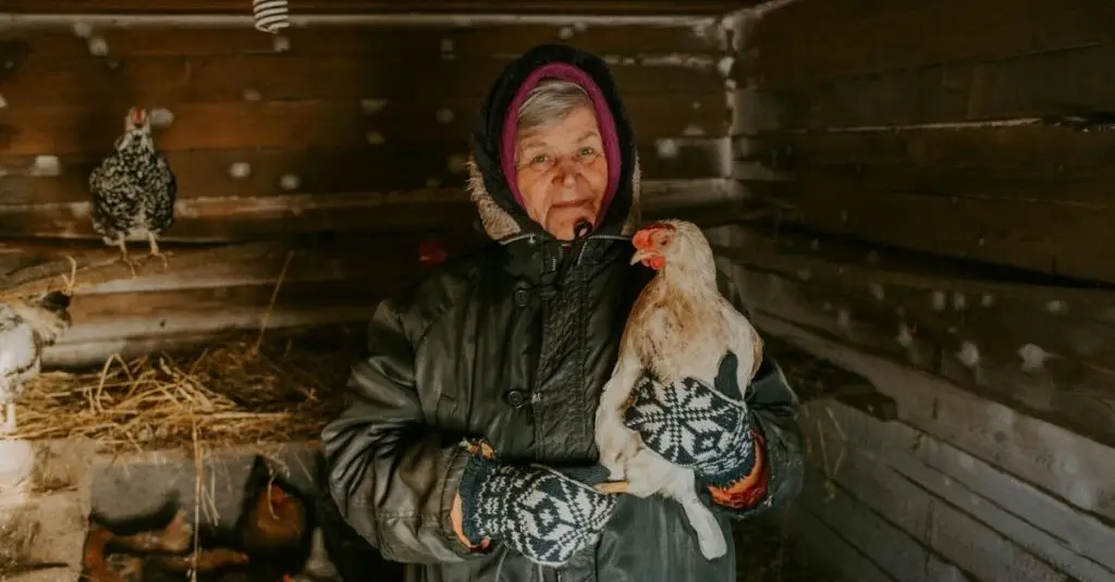 how to keep a chicken coop warm in the winter
