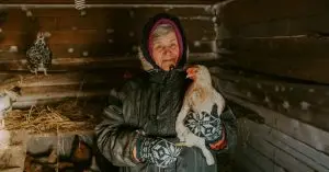 how to keep a chicken coop warm in the winter