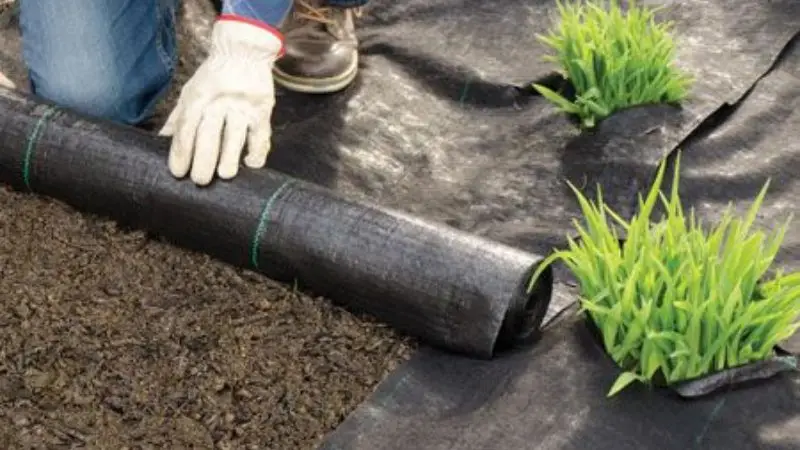 How To Install Landscaping Fabric Step by Step Guide