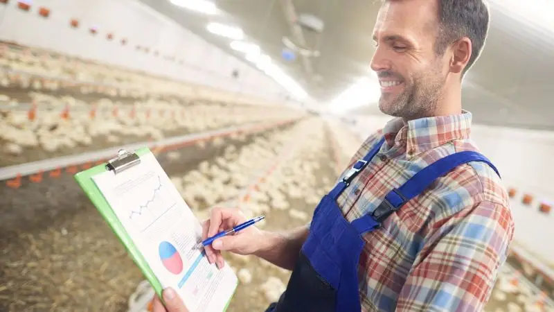  daily chicken health checklist