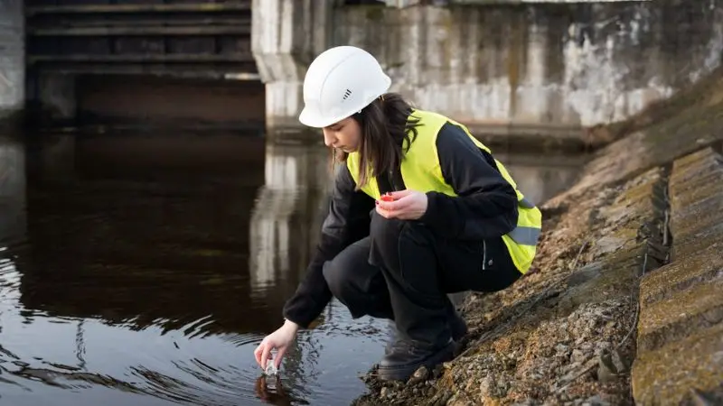 step-by-step guide on drain field inspection