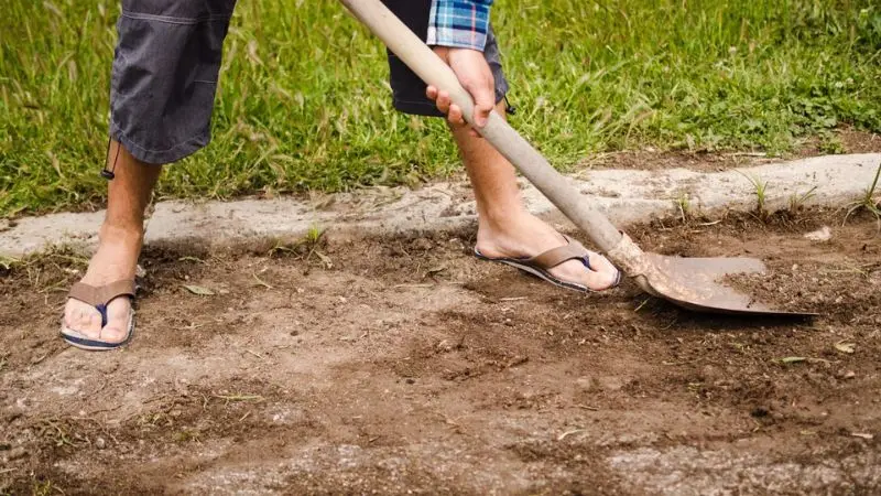 How to Fix a Dead Lawn