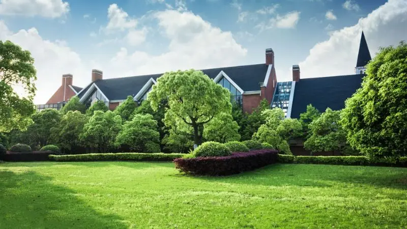 How to keep your lawn green in summer