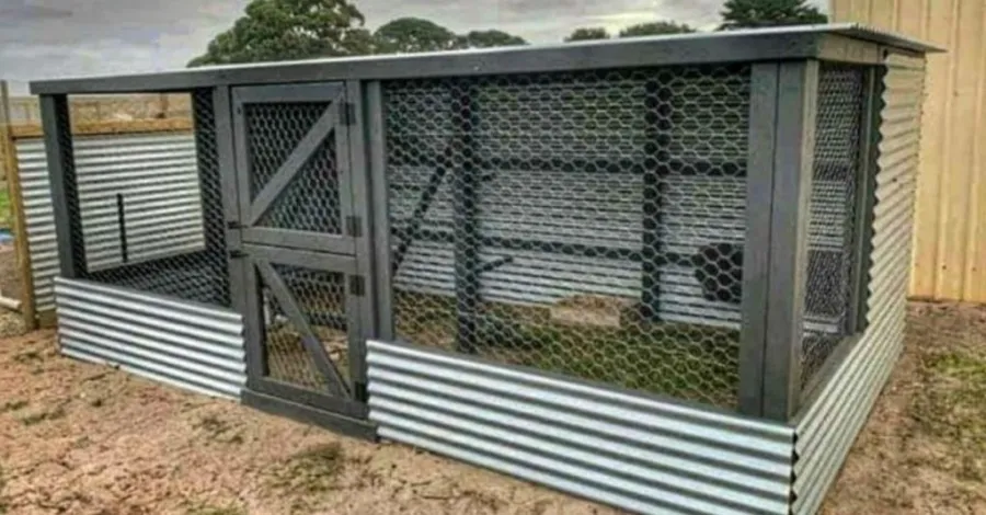 Small Chicken Coop Design Ideas