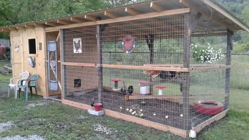 Coop for Chicken farming