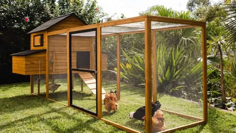 Chicken Coop Design Ideas