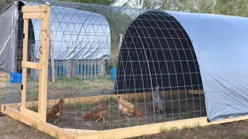 Small Chicken Coop Idea