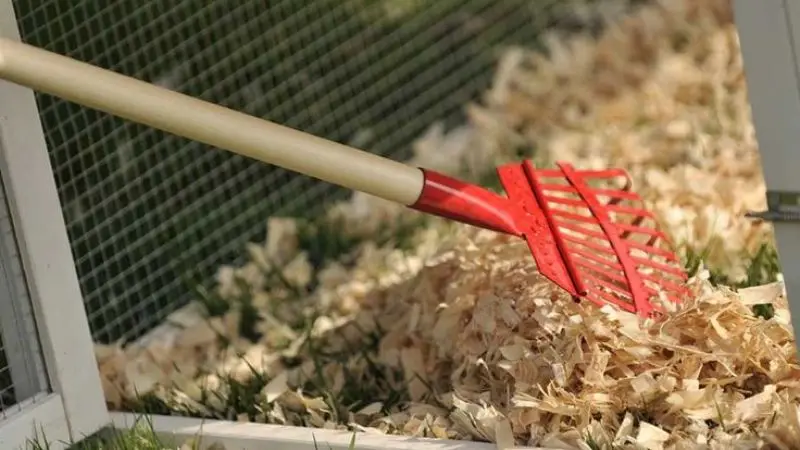 Proper Cleaning of Chicken Coop