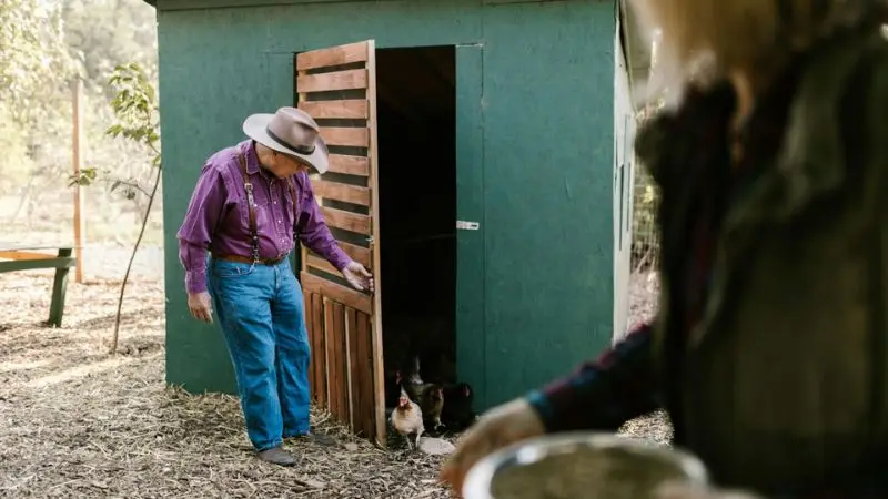 space-saving backyard chicken coop ideas