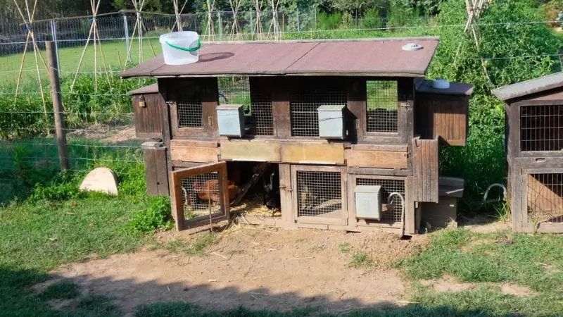  trap and frame chicken coop