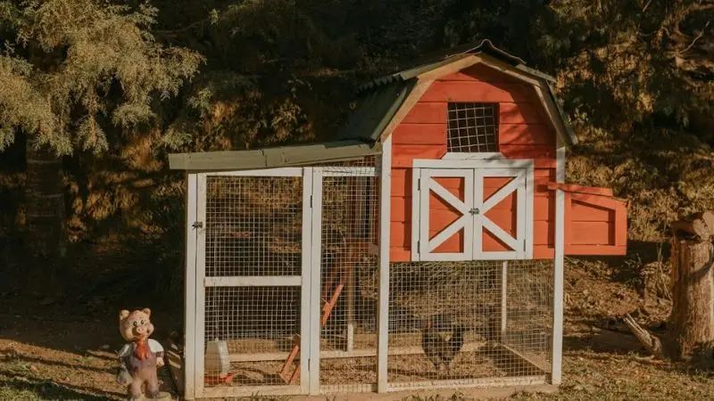 creative chicken coop design ideas