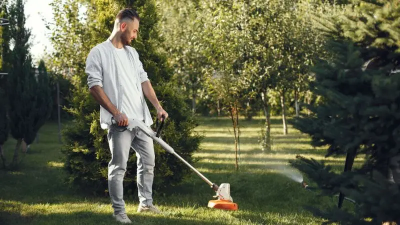 How to maintain your lawn