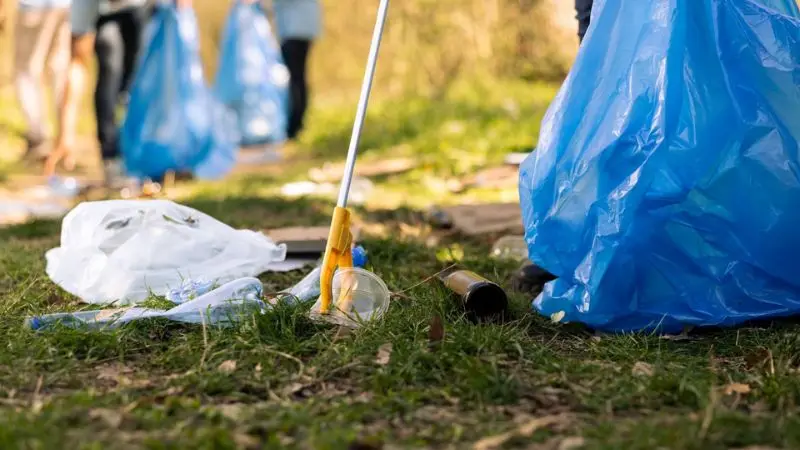  How to start overgrown yard cleanup