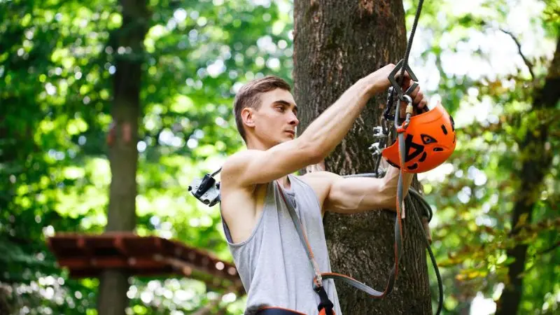 Climbing Gear for Safe Tree Work