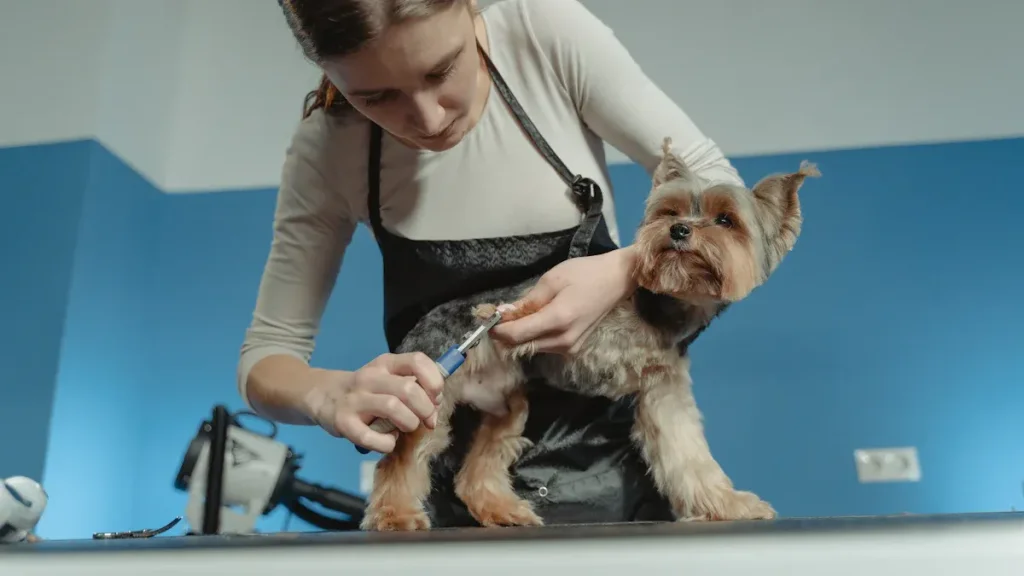 woman cutting dog nails