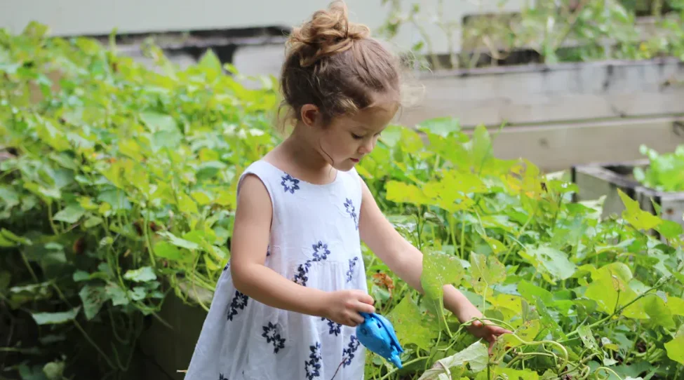 A young girl watering some plants
