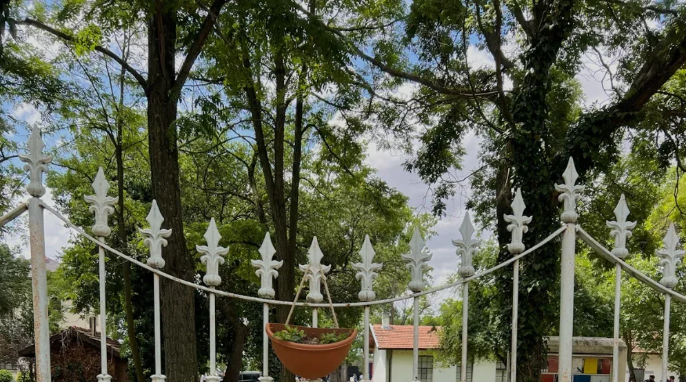 Metal railing with hanging plant