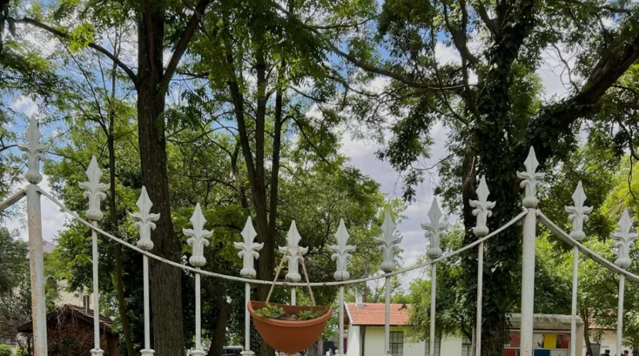 Metal railing with hanging plant