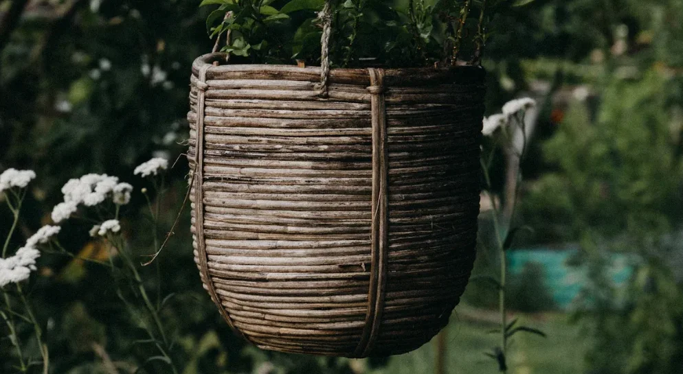 A DIY plant pot hanging