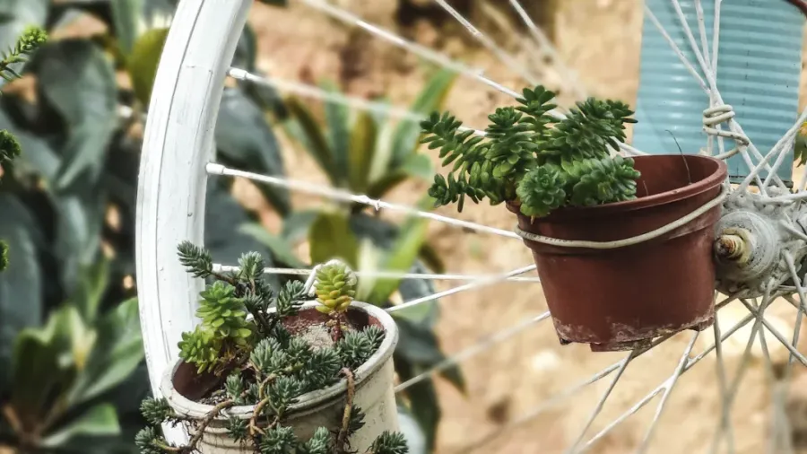 plant pots made from recycling 