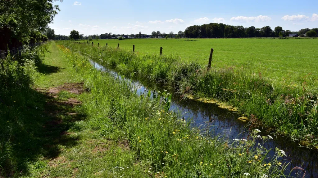 French drain in countryside