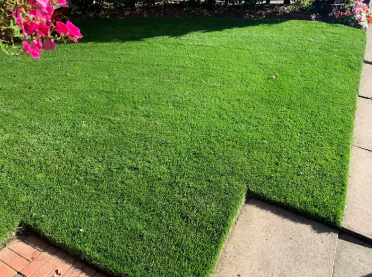 A perfectly edged lawn