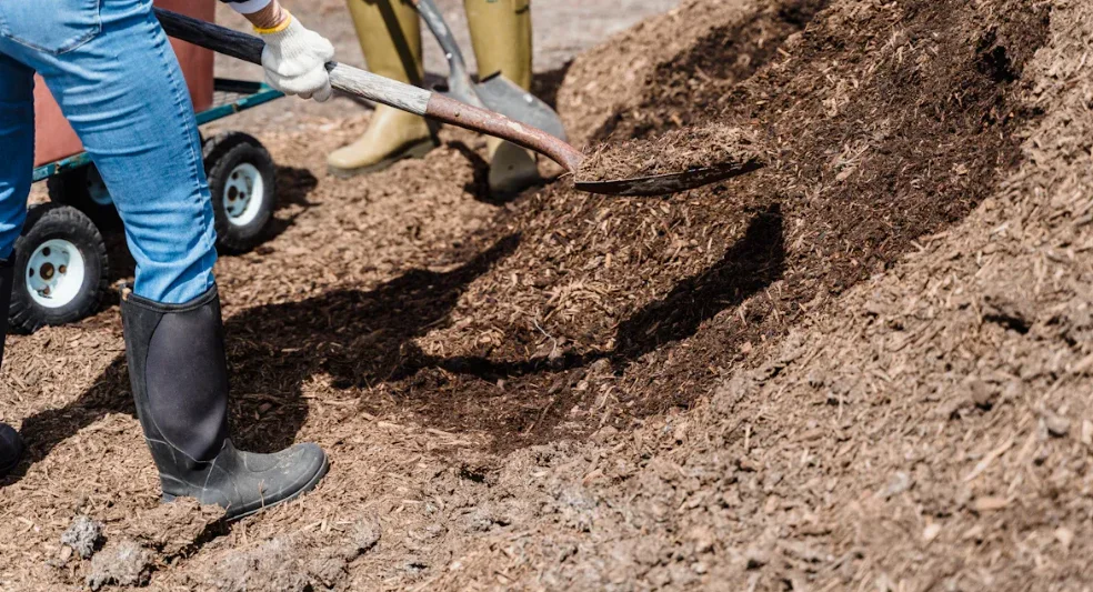 How to Prevent Weeds from Growing Back and Keep Your Garden Weed-Free