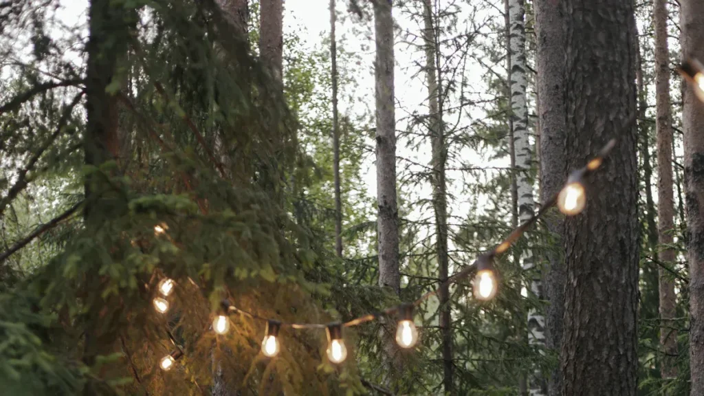 string light poles on trees