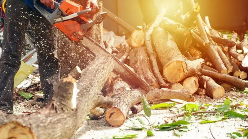 Which chainsaw is easier to maintain